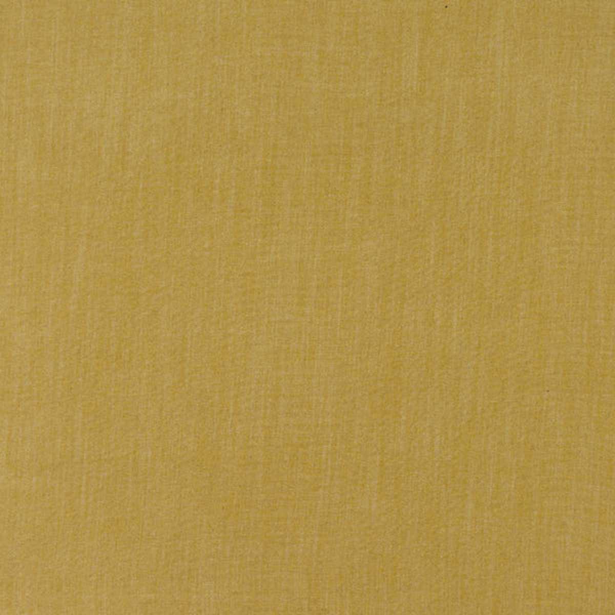 Monza Ochre