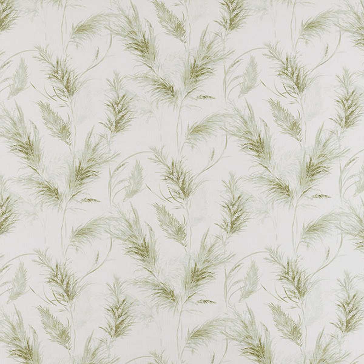 Phoenix Pampas