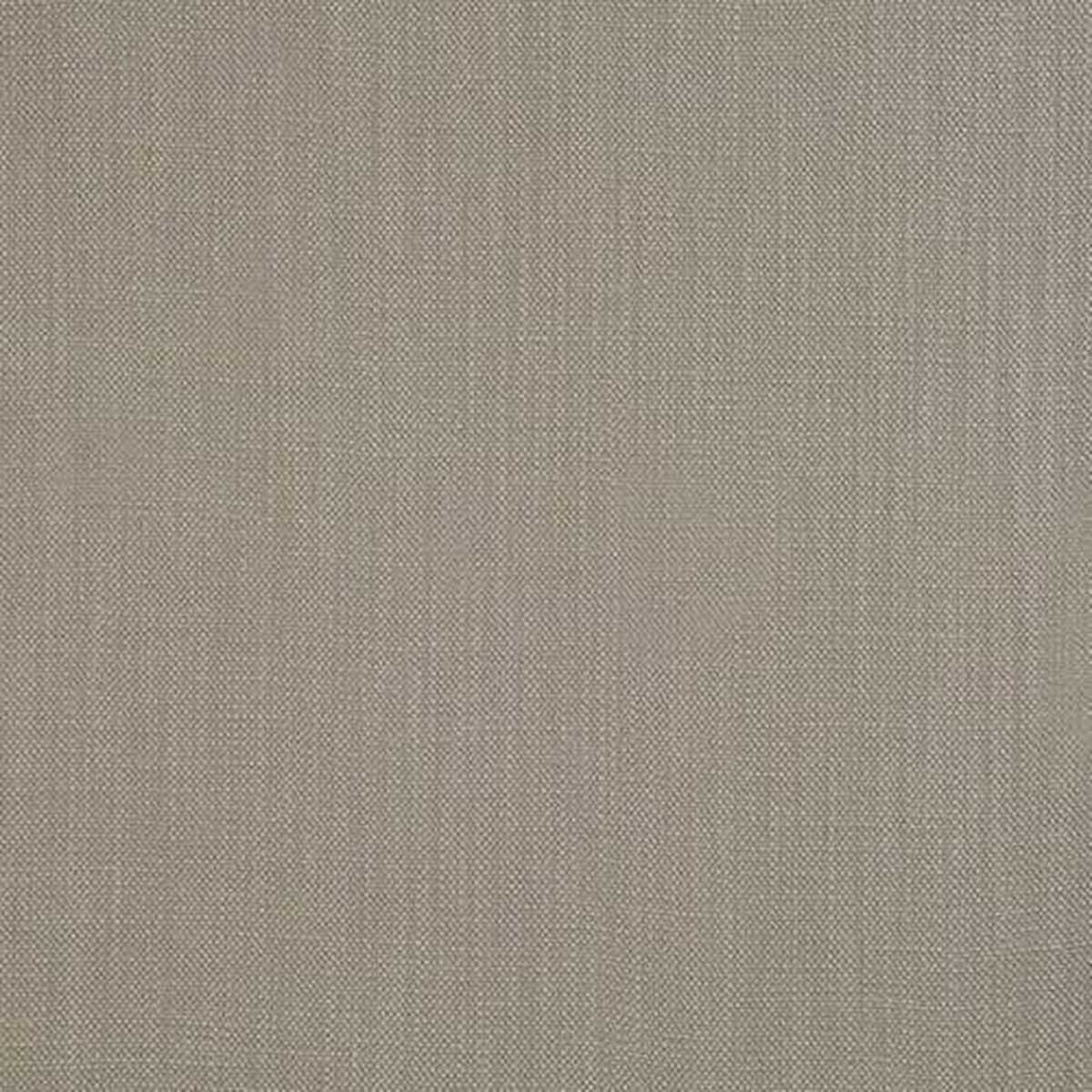 Savanna Silver