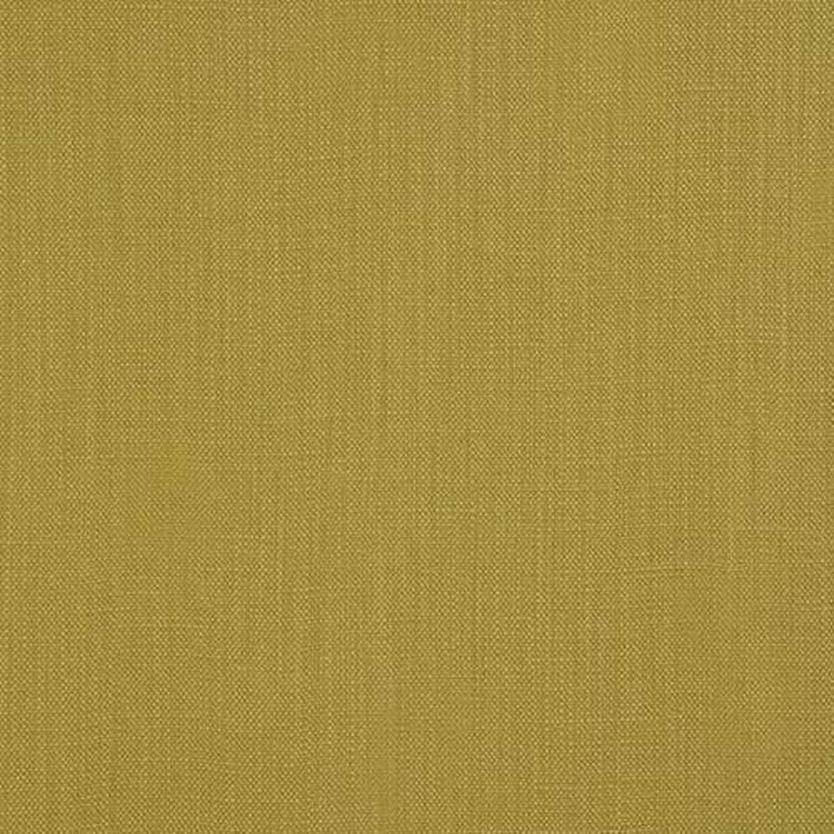 Savanna Tarragon