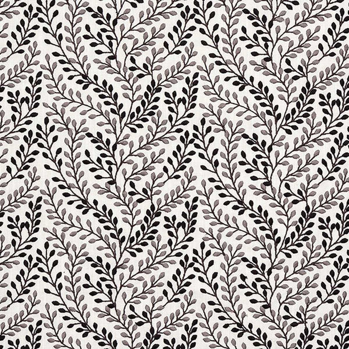 Shimla Charcoal