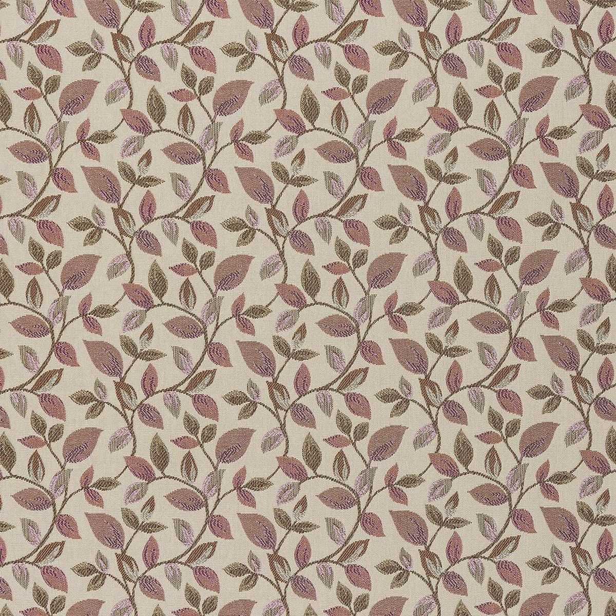 Vercelli Blush