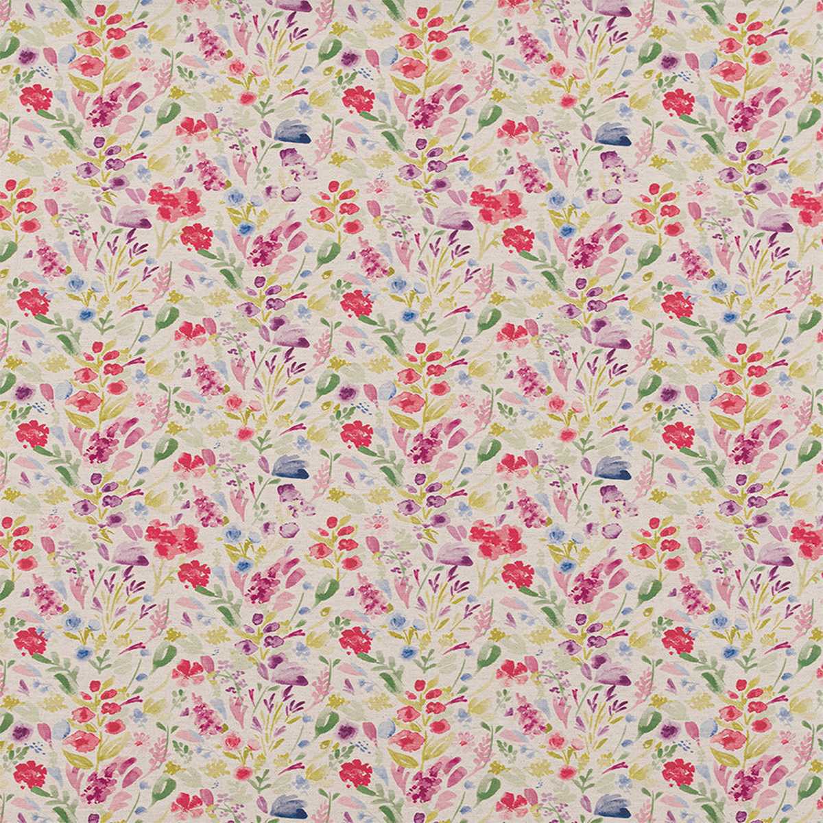 Wild Meadow Summer