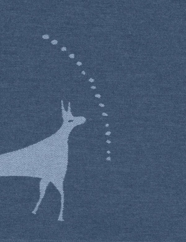 Prairie Denim