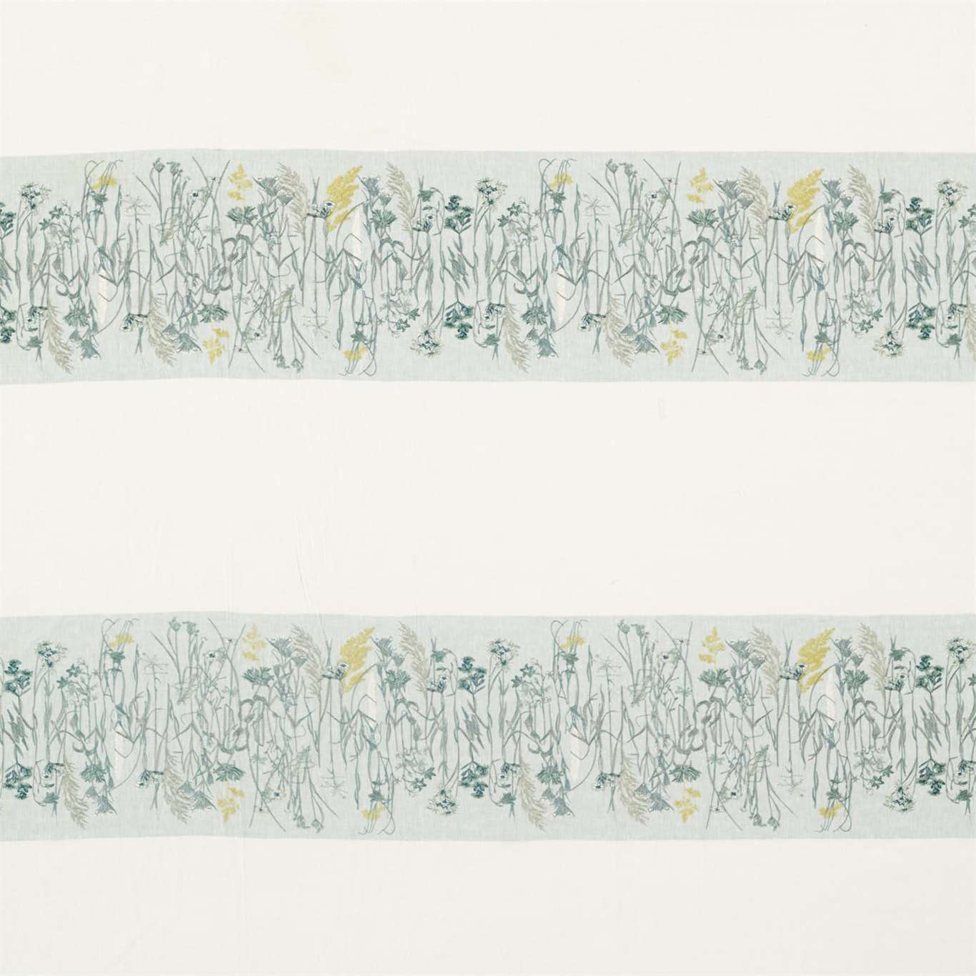 Pressed Flowers 236554