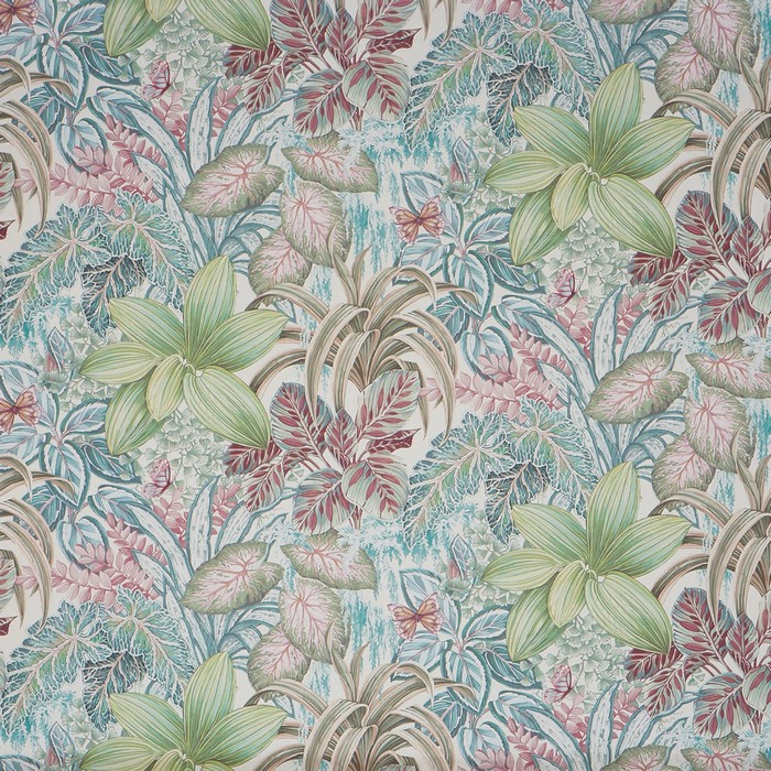Canopy 2813-411