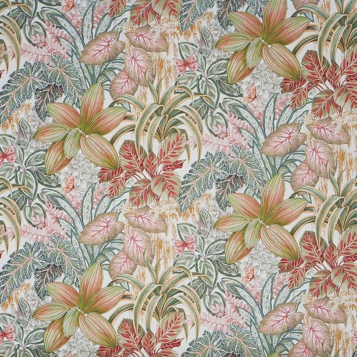 Canopy 2813-428