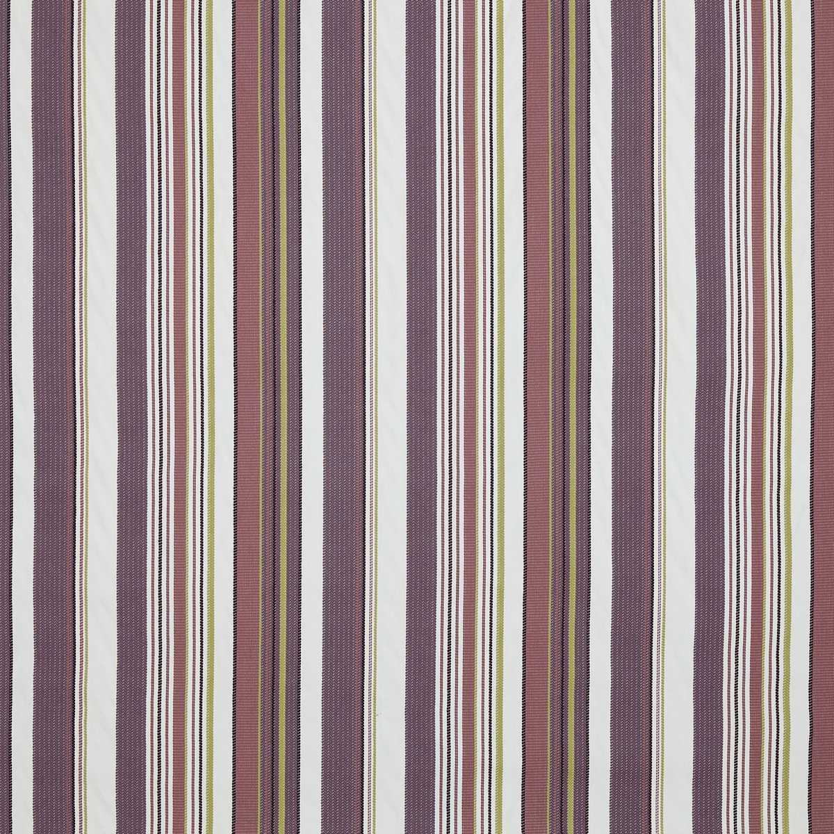 Chiara 4295-137