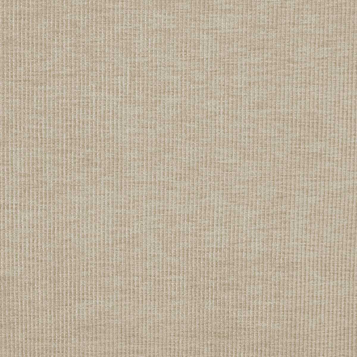 Cord 7248-504