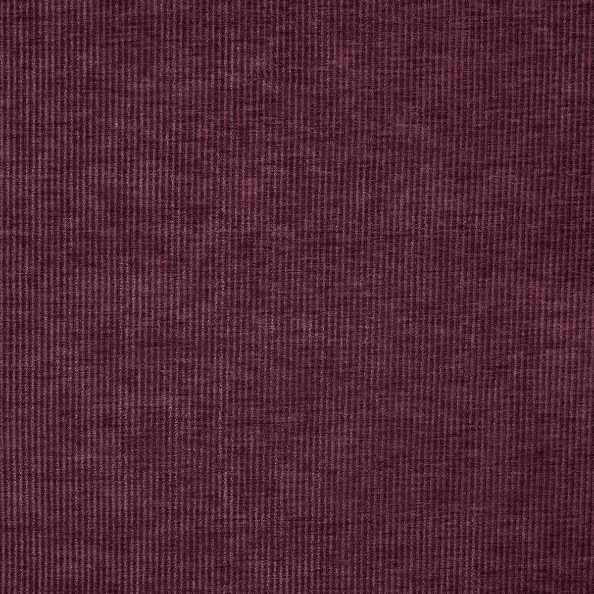 Cord 7248-801