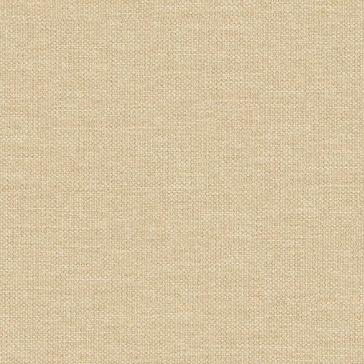 Dawson 7892-529