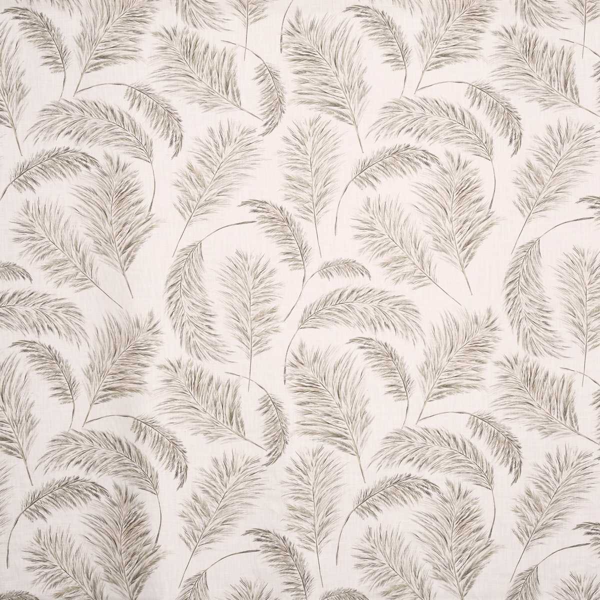 Pampas Grass 8767-022