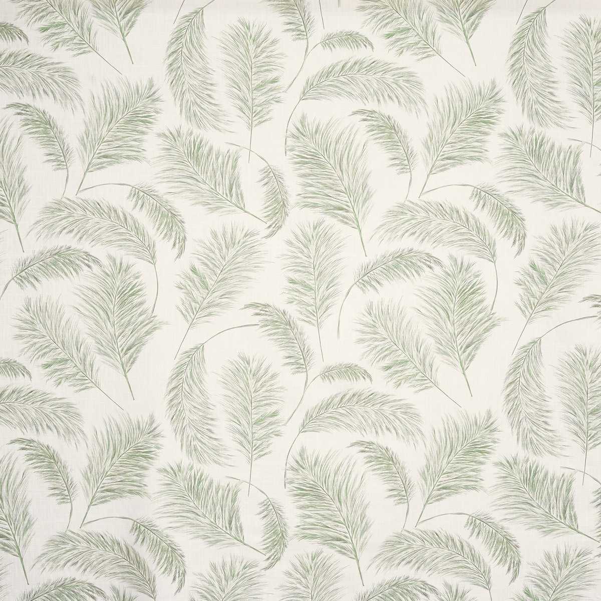 Pampas Grass 8767-603
