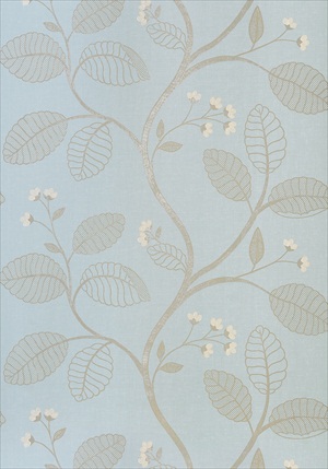 Celia Vine AT1416