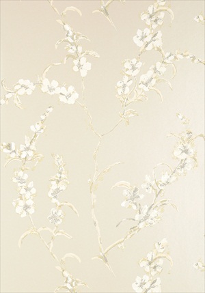 Japonica AT1424