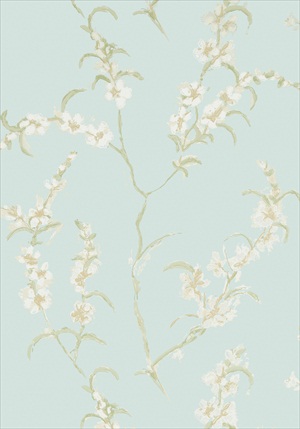 Japonica AT1425
