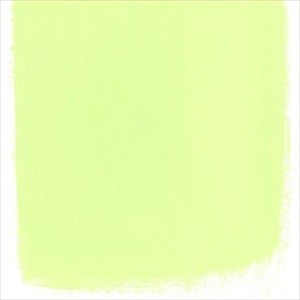 Alchemilla No 112 Paint
