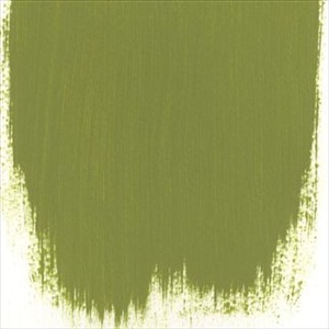 Asparagus Fern No 94 Paint