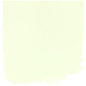 Custard Cream No 117 Paint