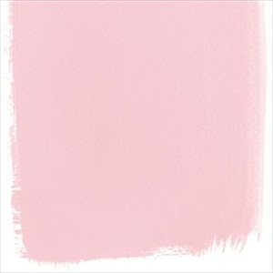 Dianthus Pink No 132 Paint