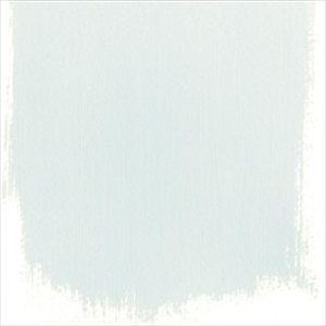 Polished Cement No 21 Paint