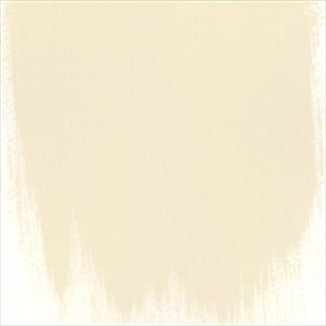 Sandstone No 8 Paint