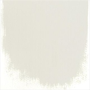Silver Birch No 13 Paint