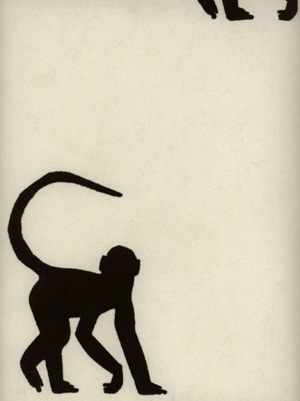 Cheeky Monkey Ebony