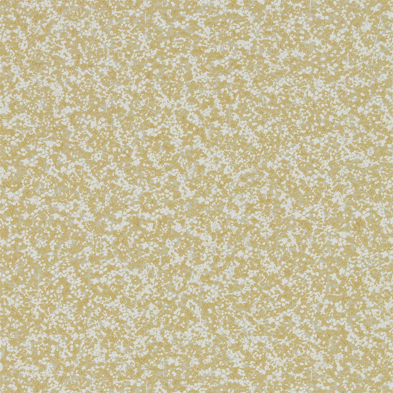 Coral 111868