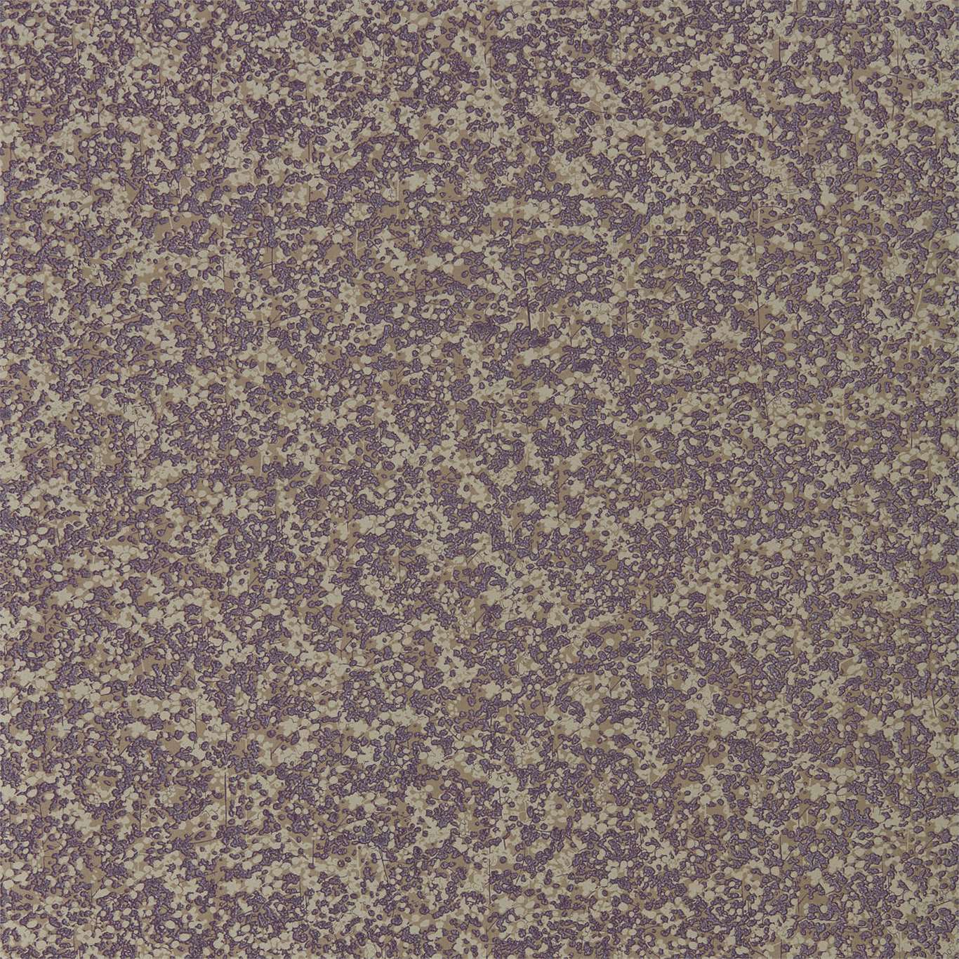 Coral 111870