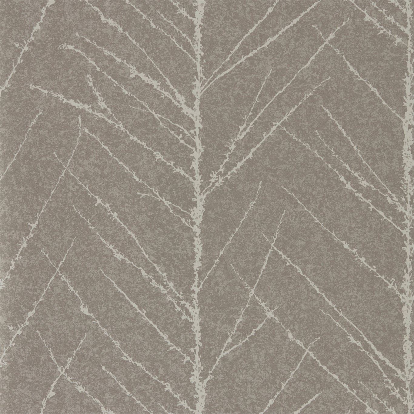 Tali Gilver Graphite 111364