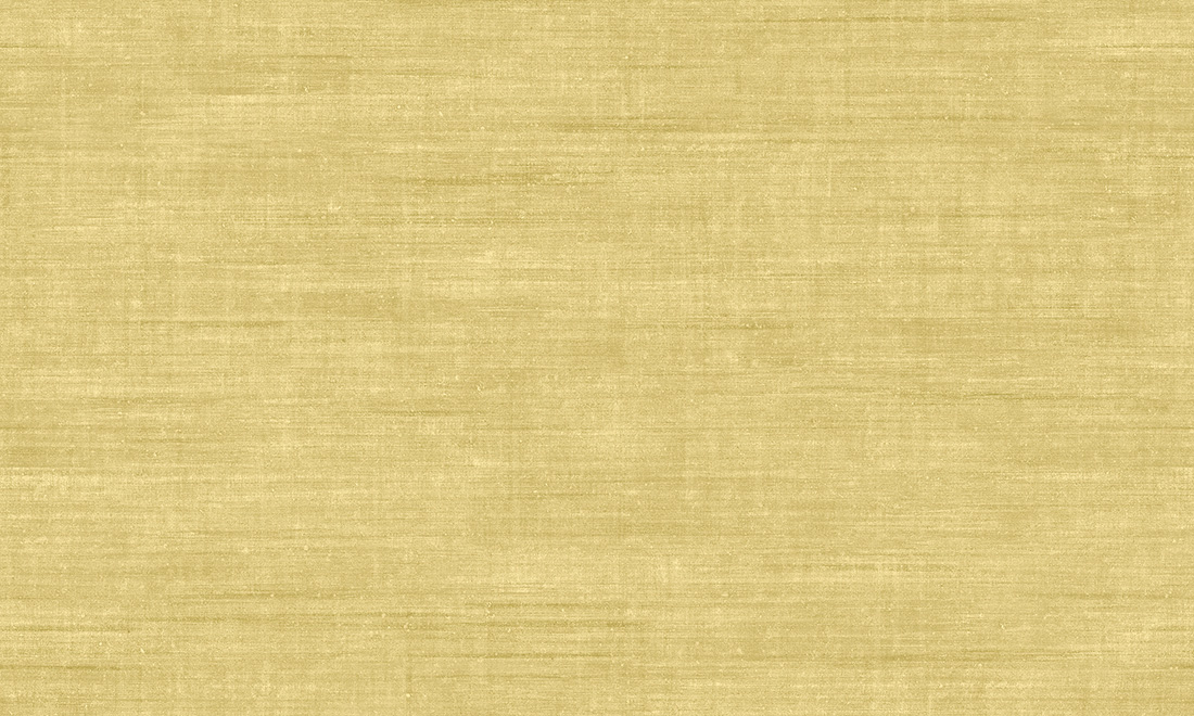 Canvas 24509