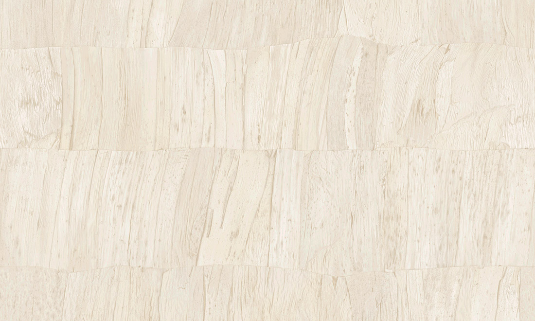 Capas 34301