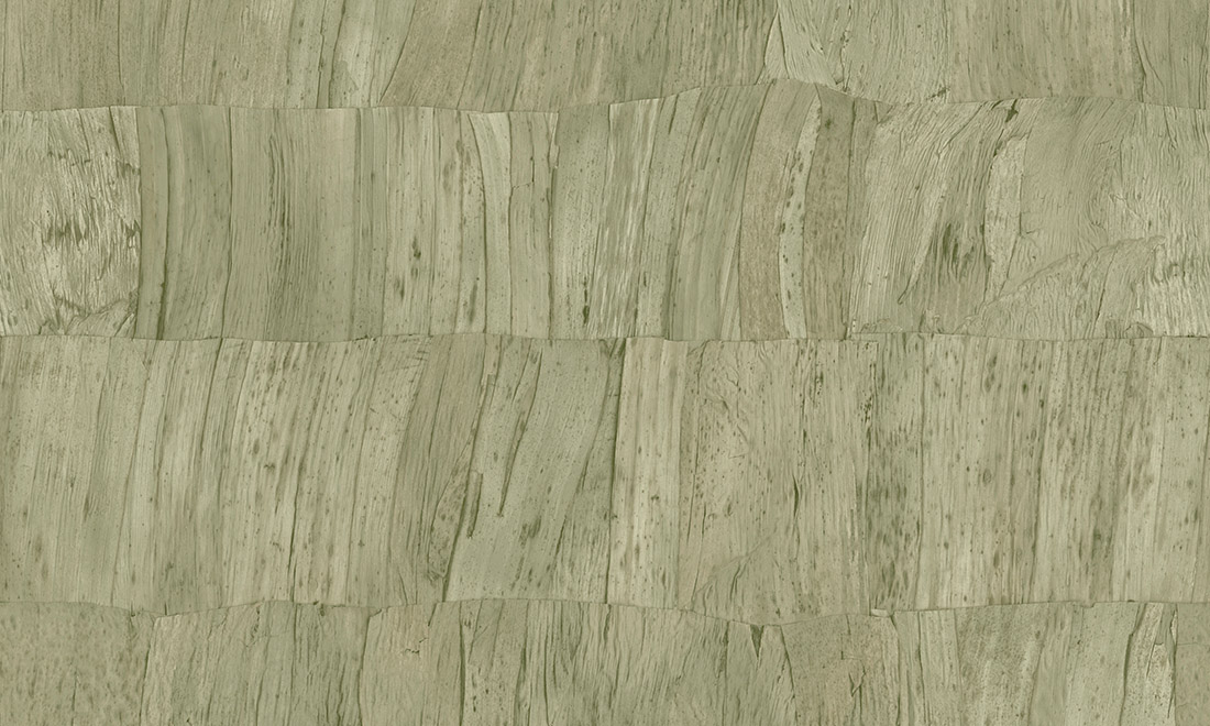Capas 34304