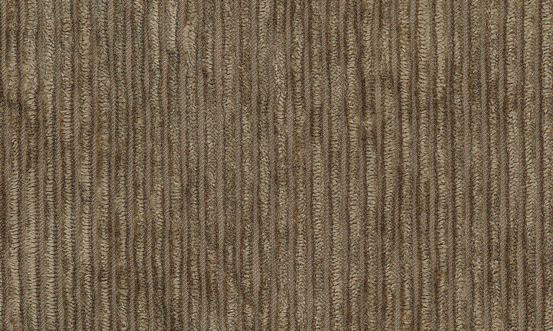 Corduroy 29511