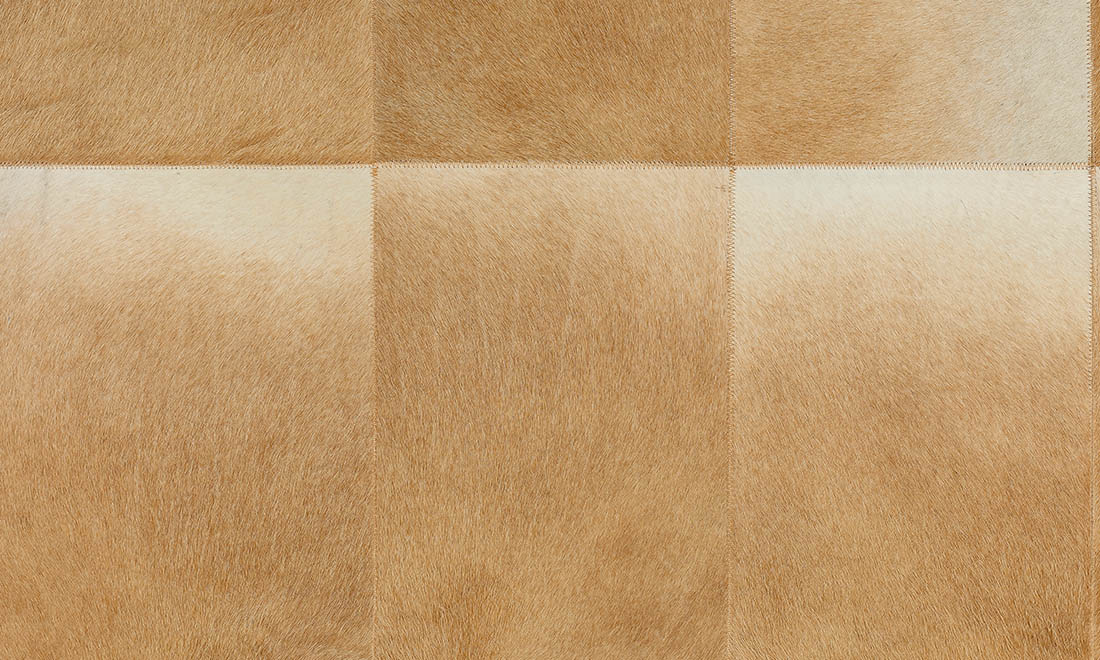 Rectangle 33511