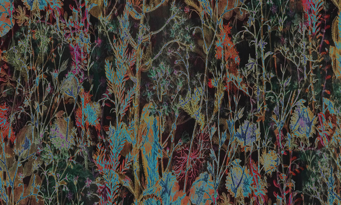 Wildflower 29540