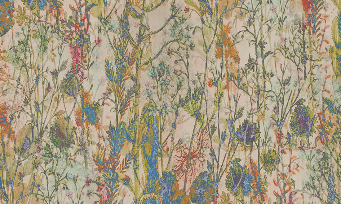 Wildflower 29541