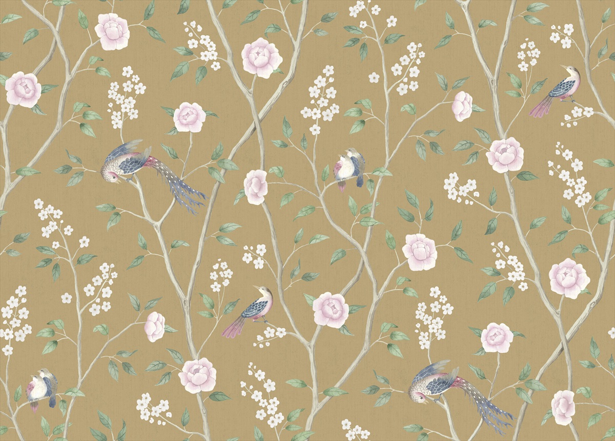 Paradise Birds 1902