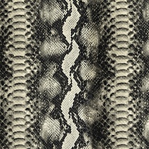 Python 16 Liquorice