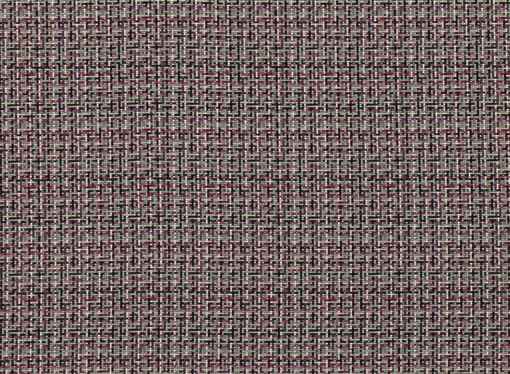 Quanta Verbena 9026-04
