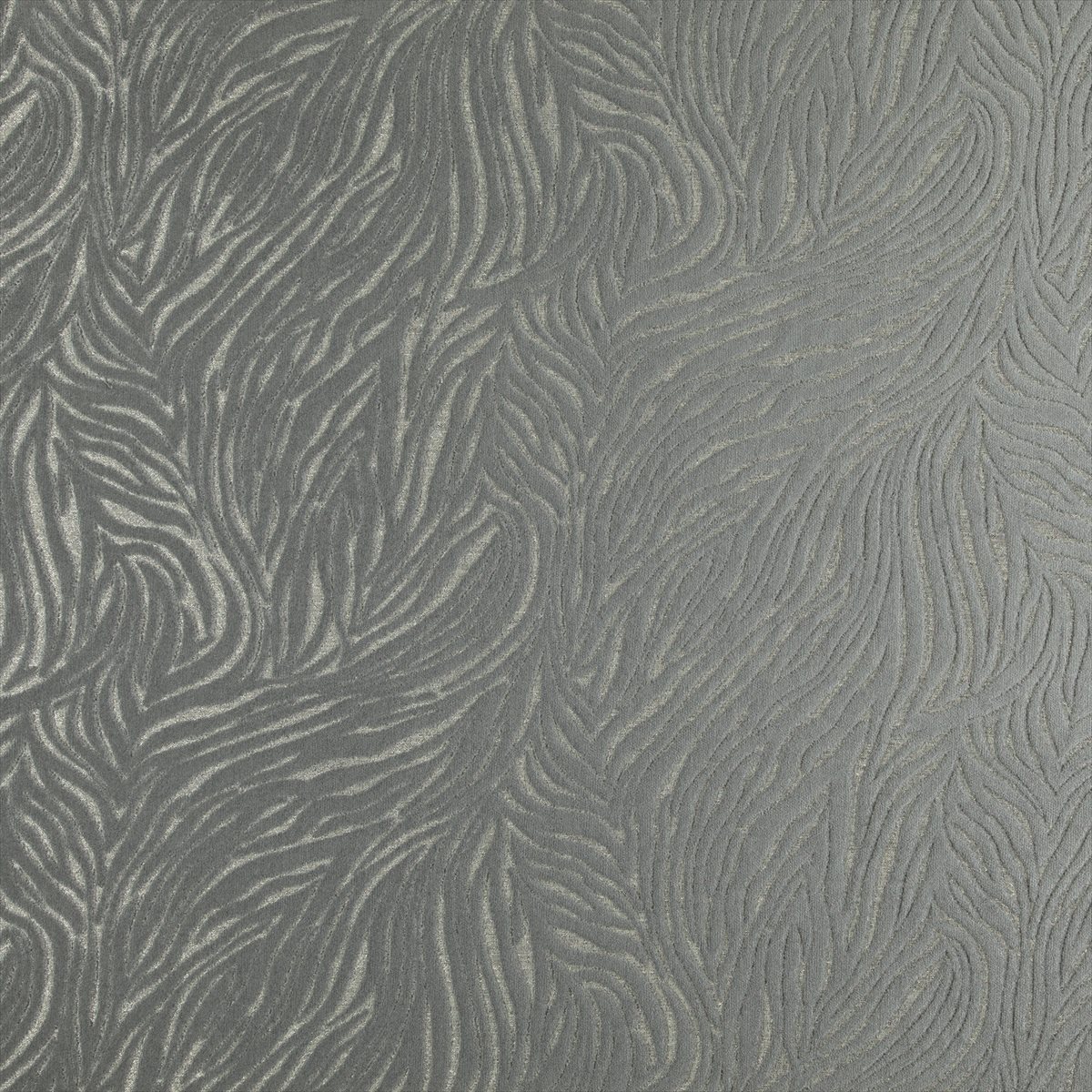 Rafael 01 Graphite
