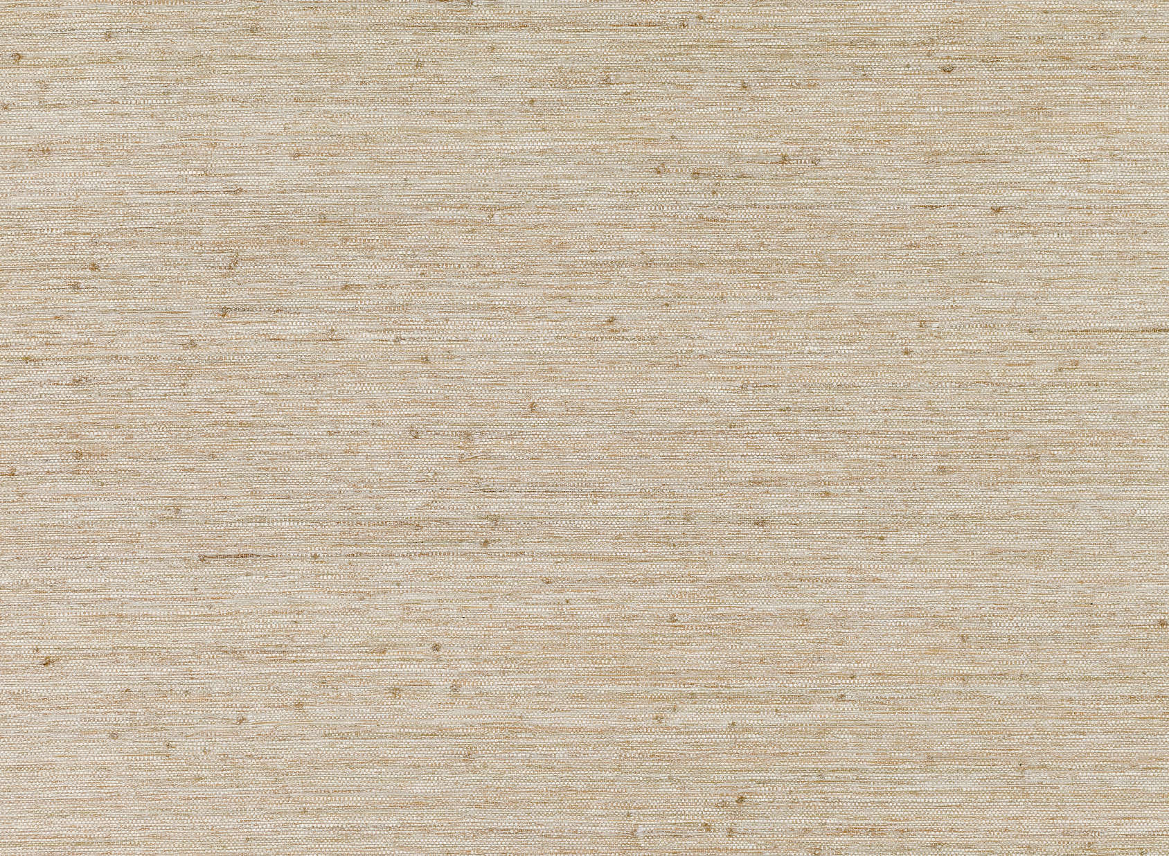 Raffia Canvas MW103-01