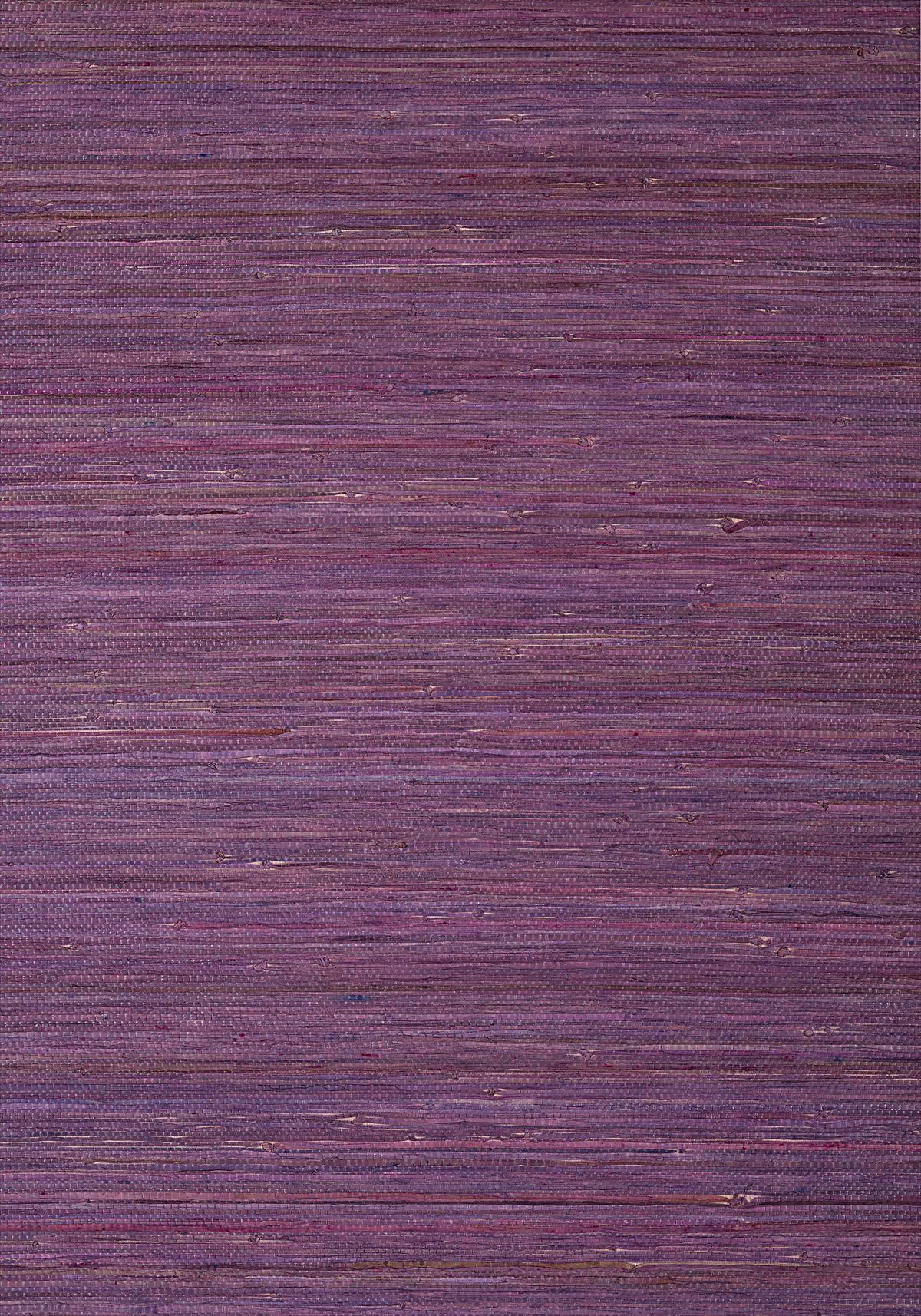 Raffia Palm T24064