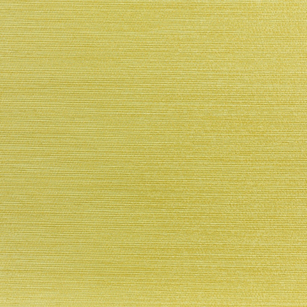 Rafia D14006-005