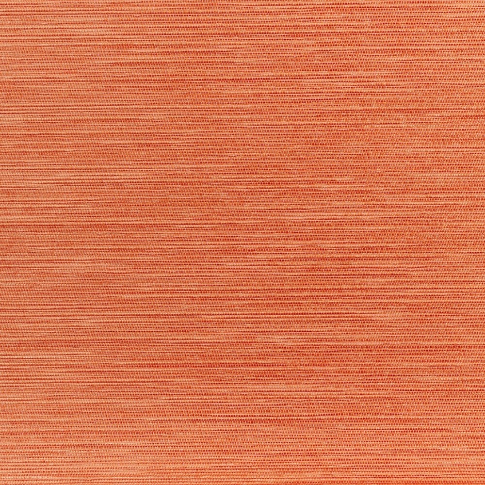 Rafia D14006-007