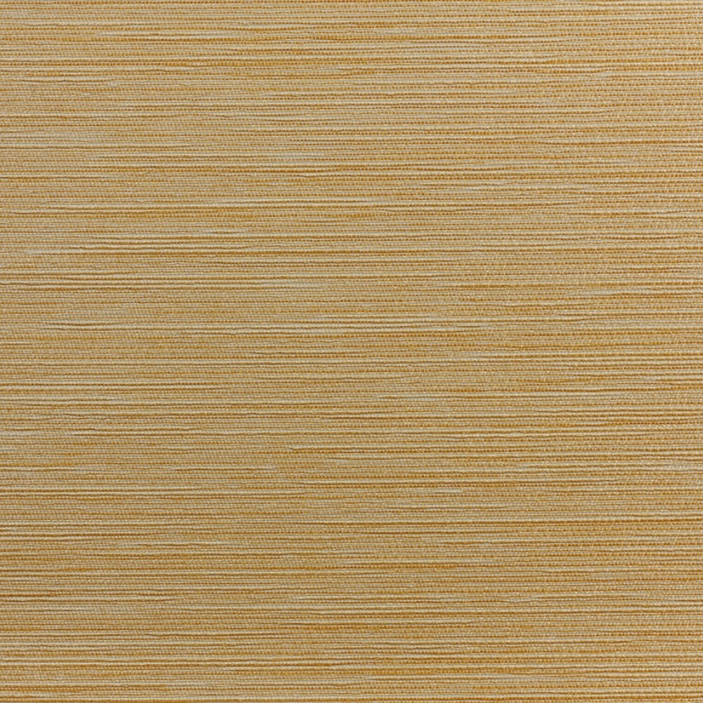 Rafia D14006-010