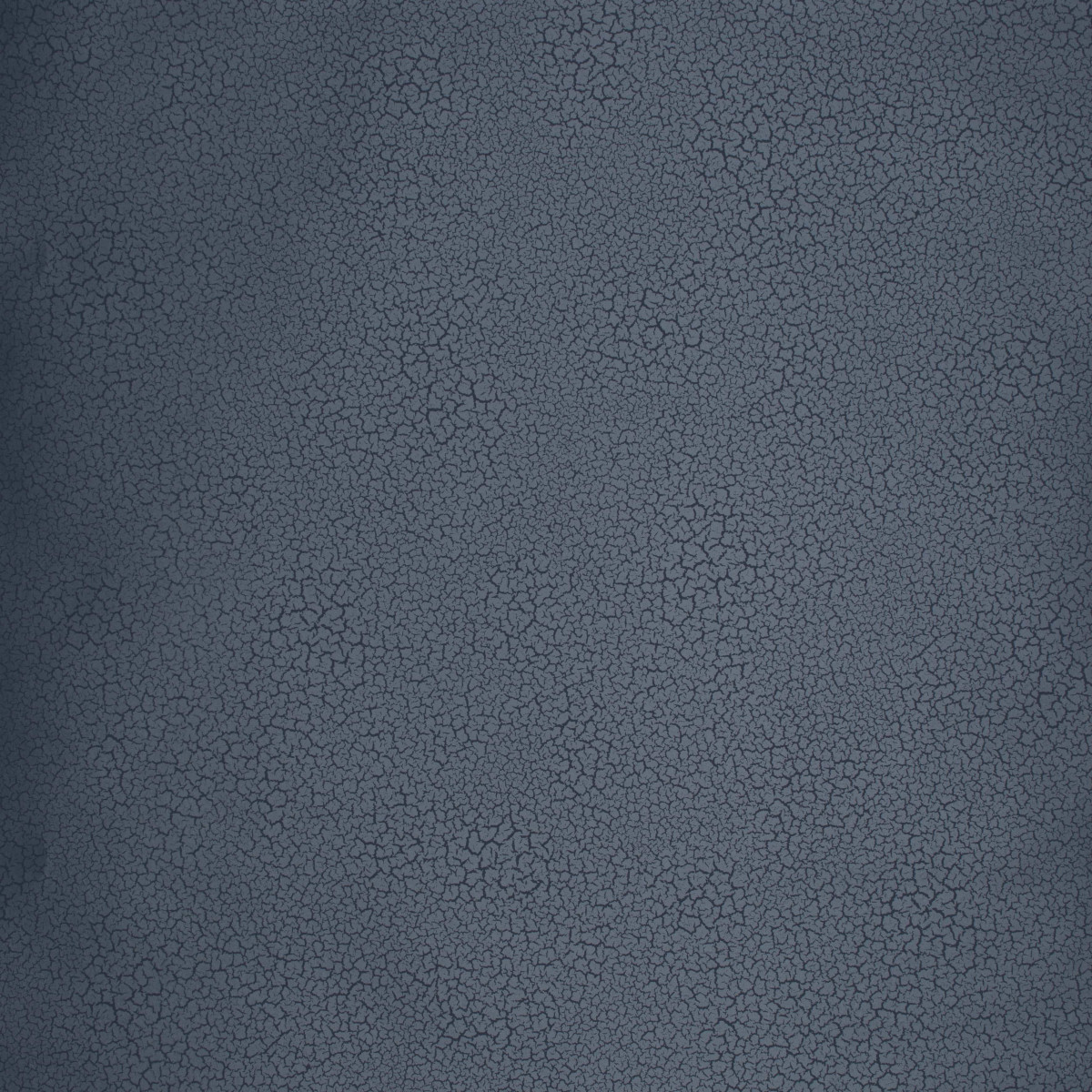 Raku EDM13