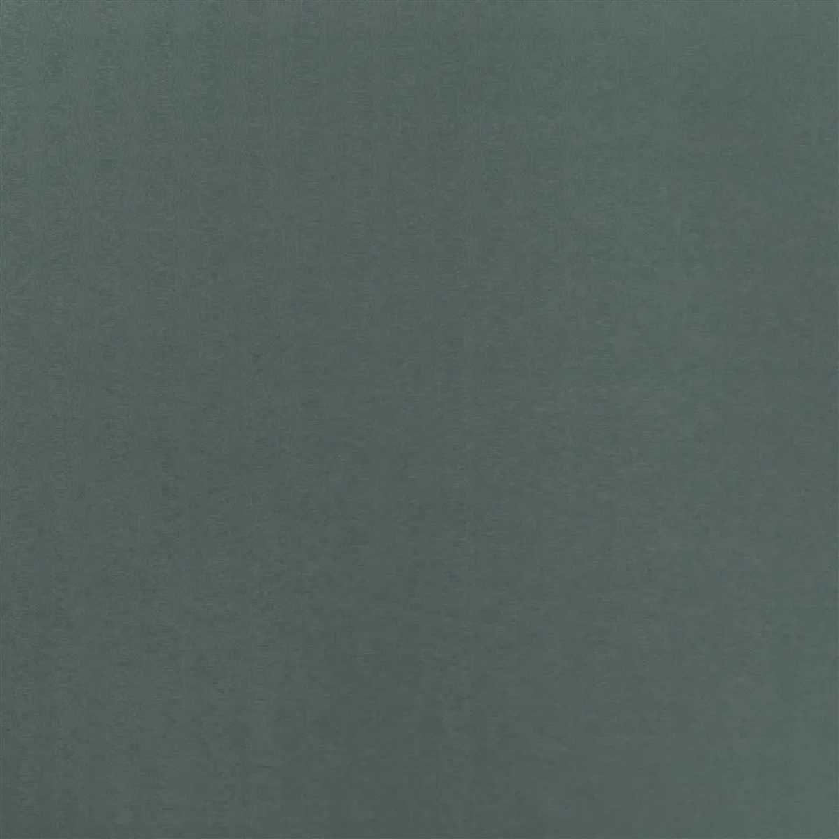 Clotilde Moire FRL5305-02