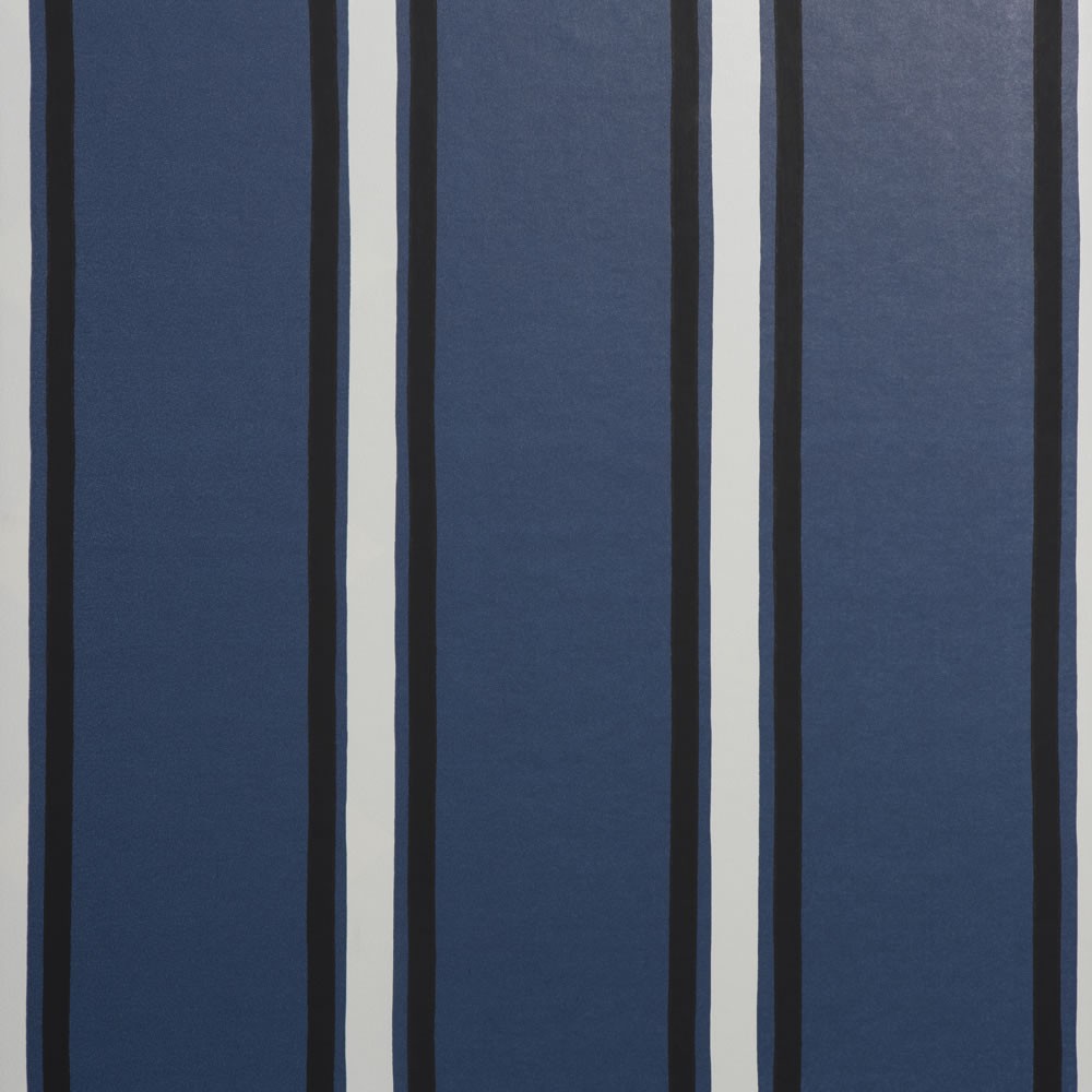 Ray Indigo D30102 001